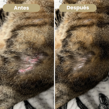 Pet Skin Calm™ - El cuidado que su piel necesita.