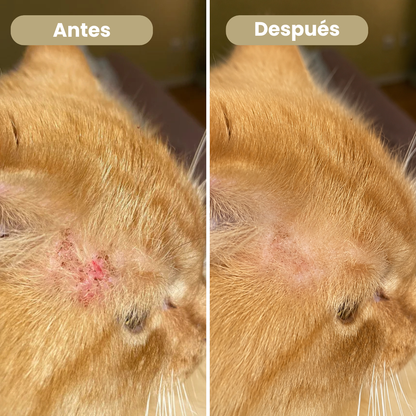 Pet Skin Calm™ - El cuidado que su piel necesita.