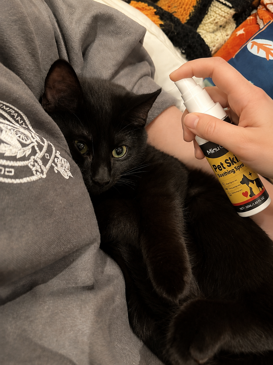 Aplica Pet Skin Calm